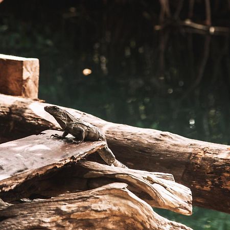 Uman Glamping & Cenote Tulum Exterior foto