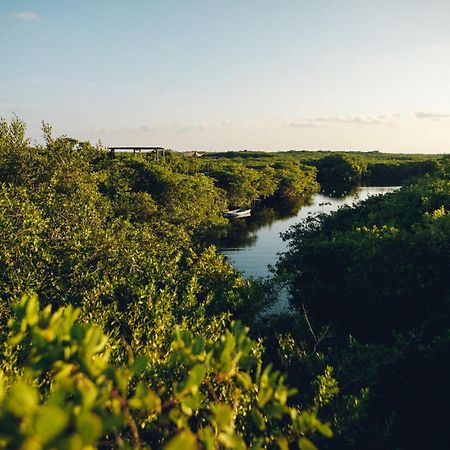 Uman Glamping & Cenote Tulum Exterior foto