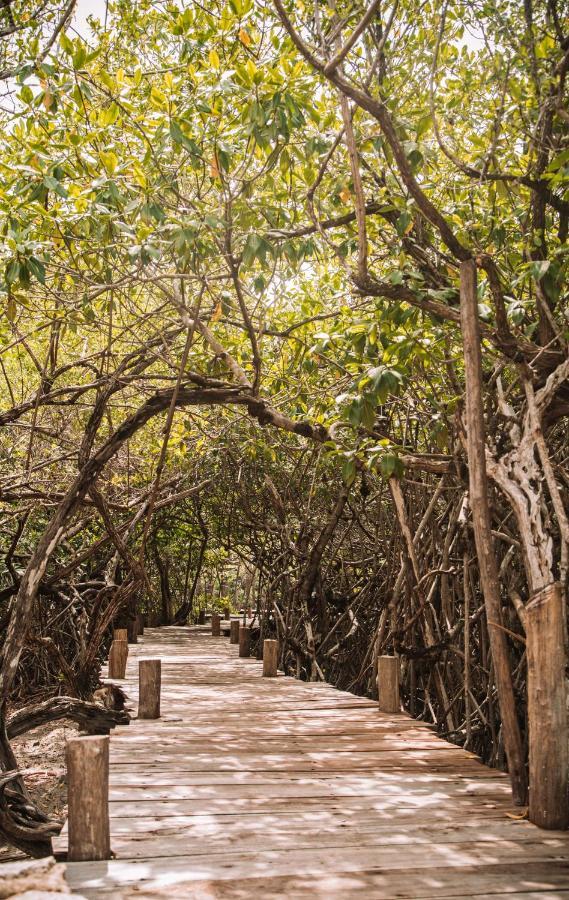 Uman Glamping & Cenote Tulum Exterior foto