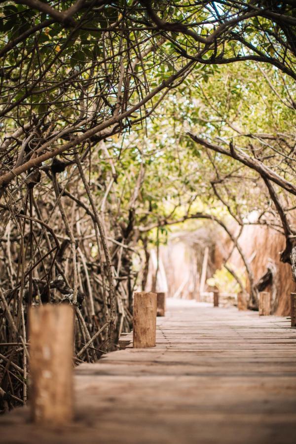 Uman Glamping & Cenote Tulum Exterior foto