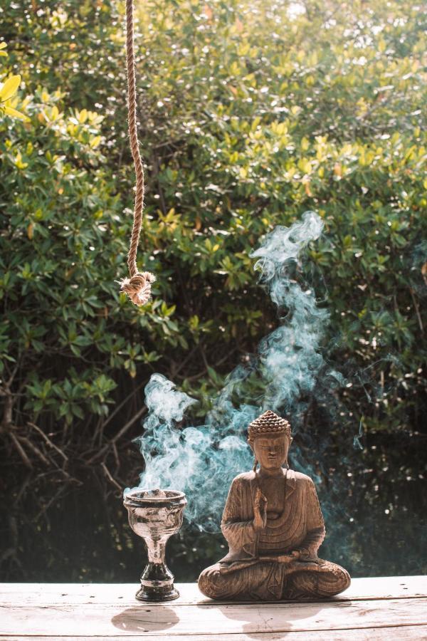 Uman Glamping & Cenote Tulum Exterior foto