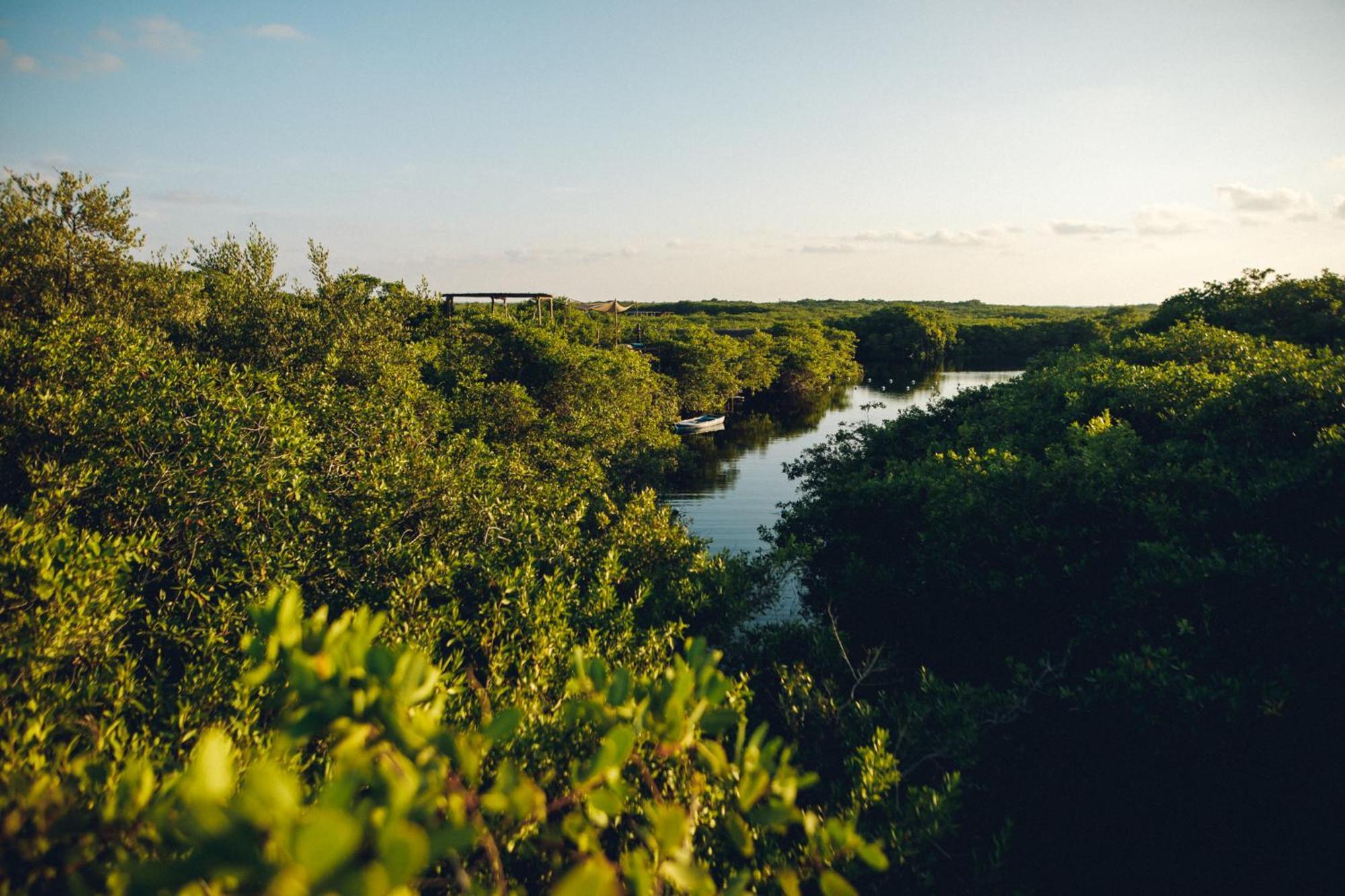 Uman Glamping & Cenote Tulum Exterior foto