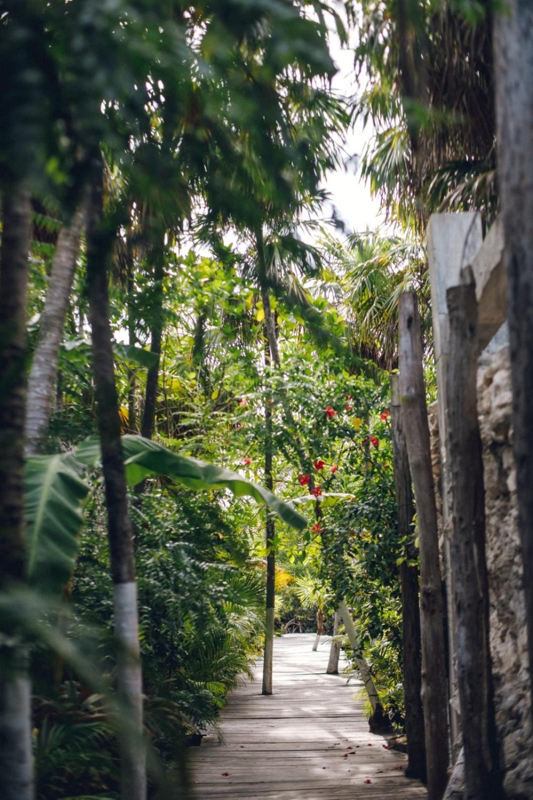 Uman Glamping & Cenote Tulum Exterior foto